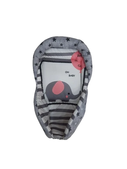 آغوشی سوییسی الدوز